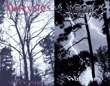 Abusiveness : Vilce Sjen - Watrajar